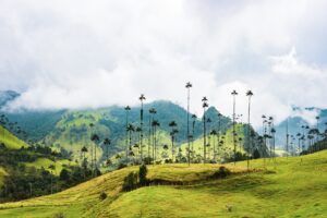 7 cosas que debes saber antes de visitar Colombia clima del país