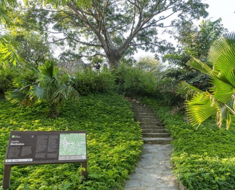 jardín botánico quinta de san pedro alejandrino